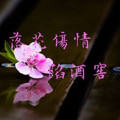 落花傷情陷酒窖